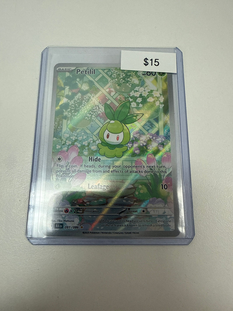 RAW POKEMON