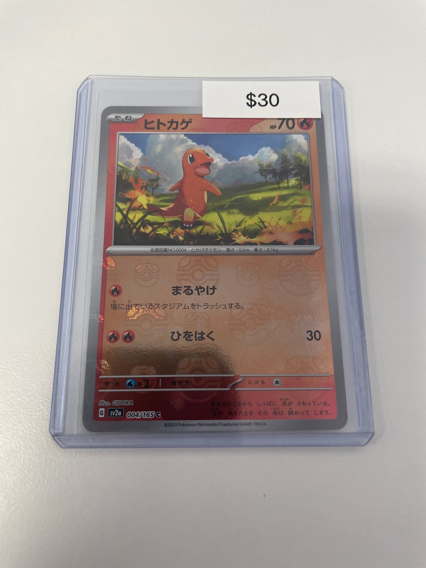 Pokémon Master Ball Charmander #004/165
