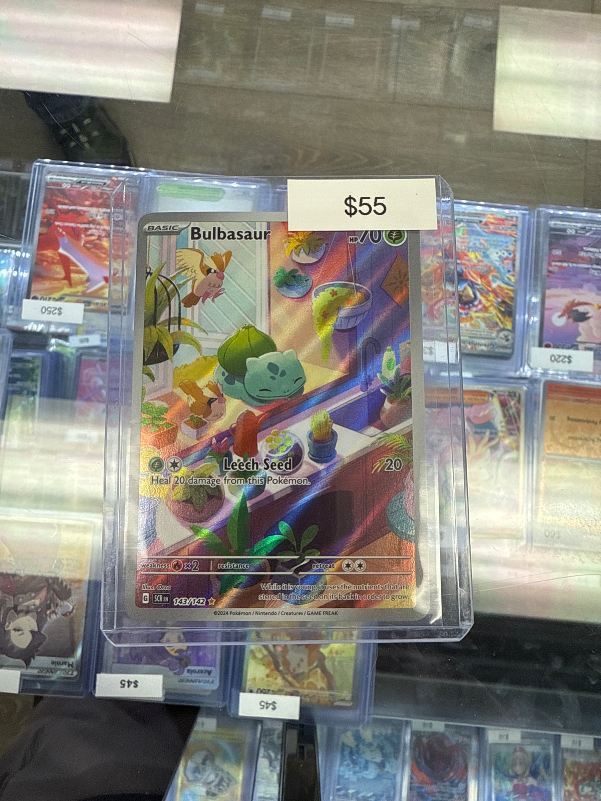 Pokemon Stellar Crown Bulbasaur 143/142 Grail Collectibles AZ Pokemon Stellar Crown Bulbasaur 143/142 Grail Collectibles AZ