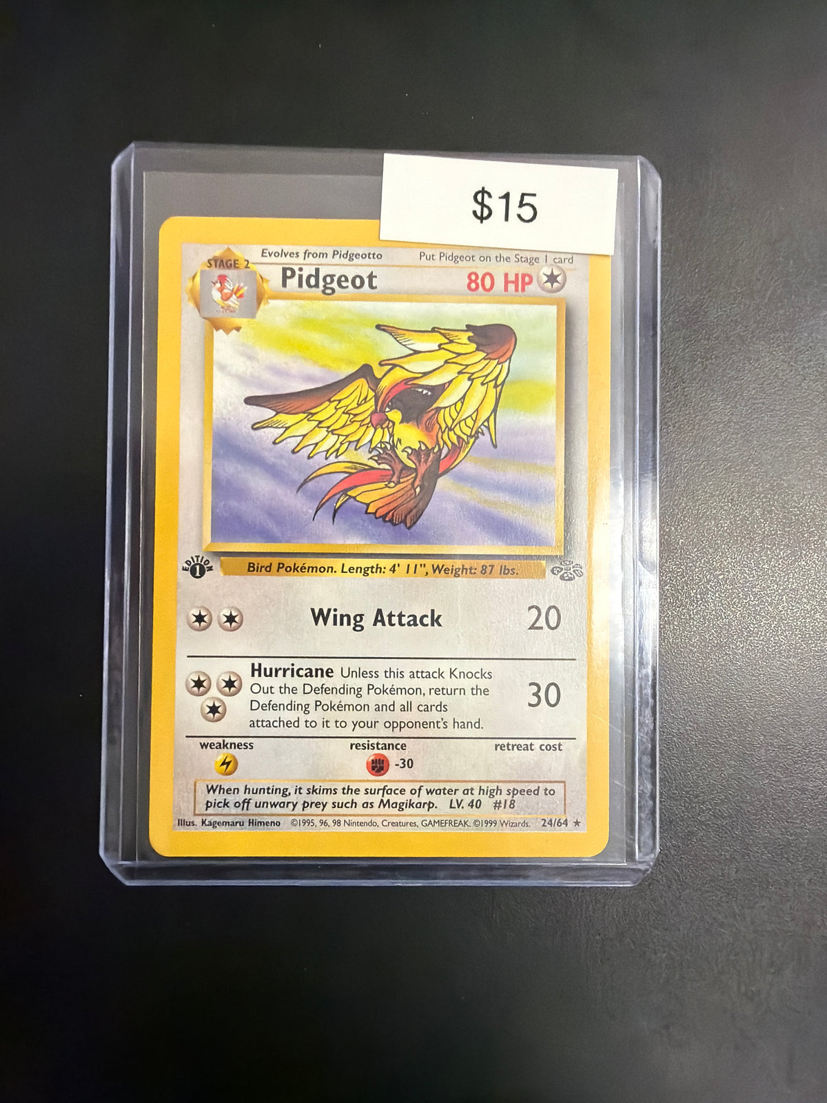 Pokemon Pidgeot Jungle 1st Ed. 24/64