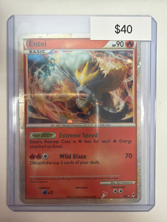 Pokemon Entei Shiny SL3