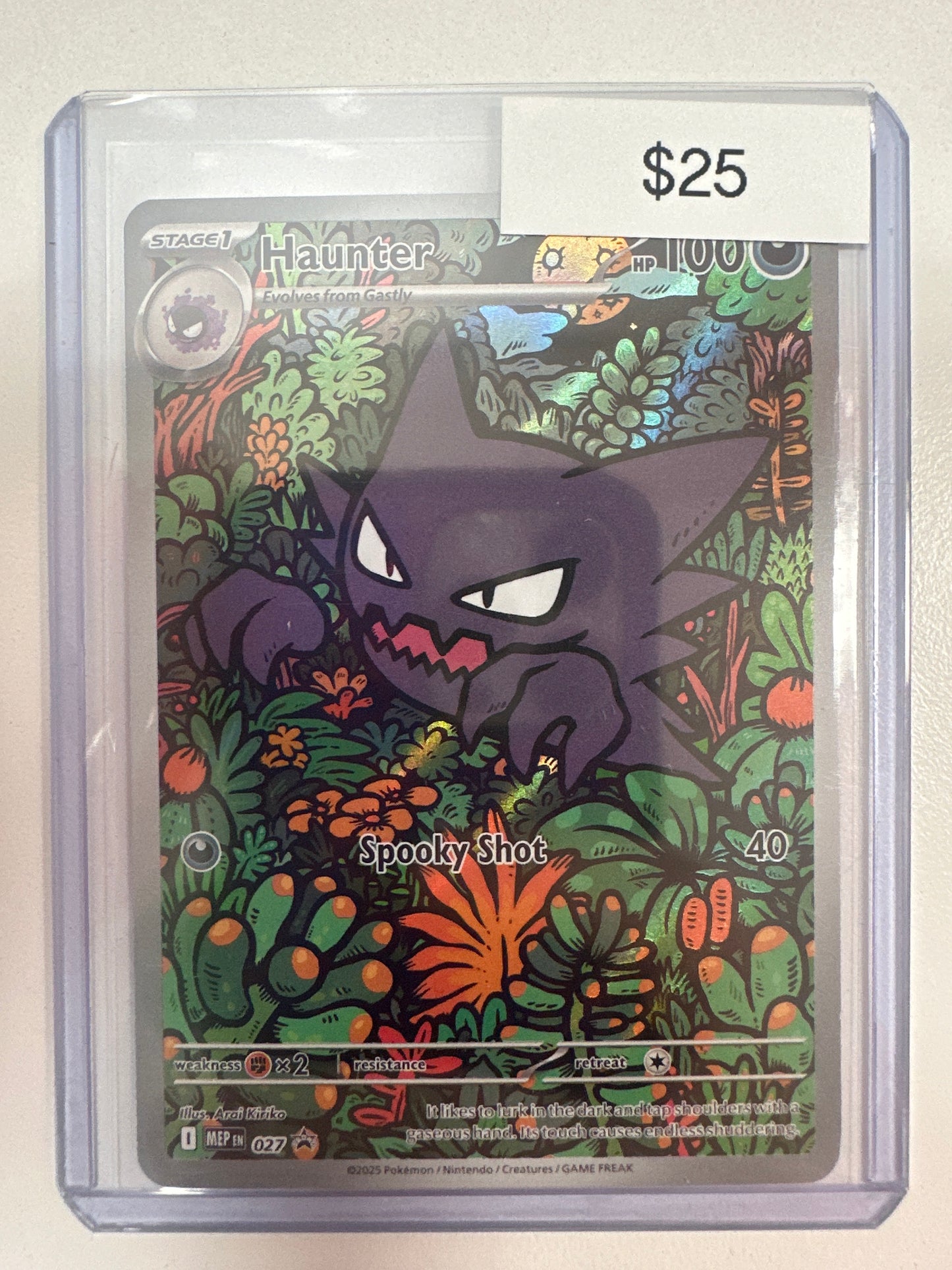 Pokemon Haunter 027