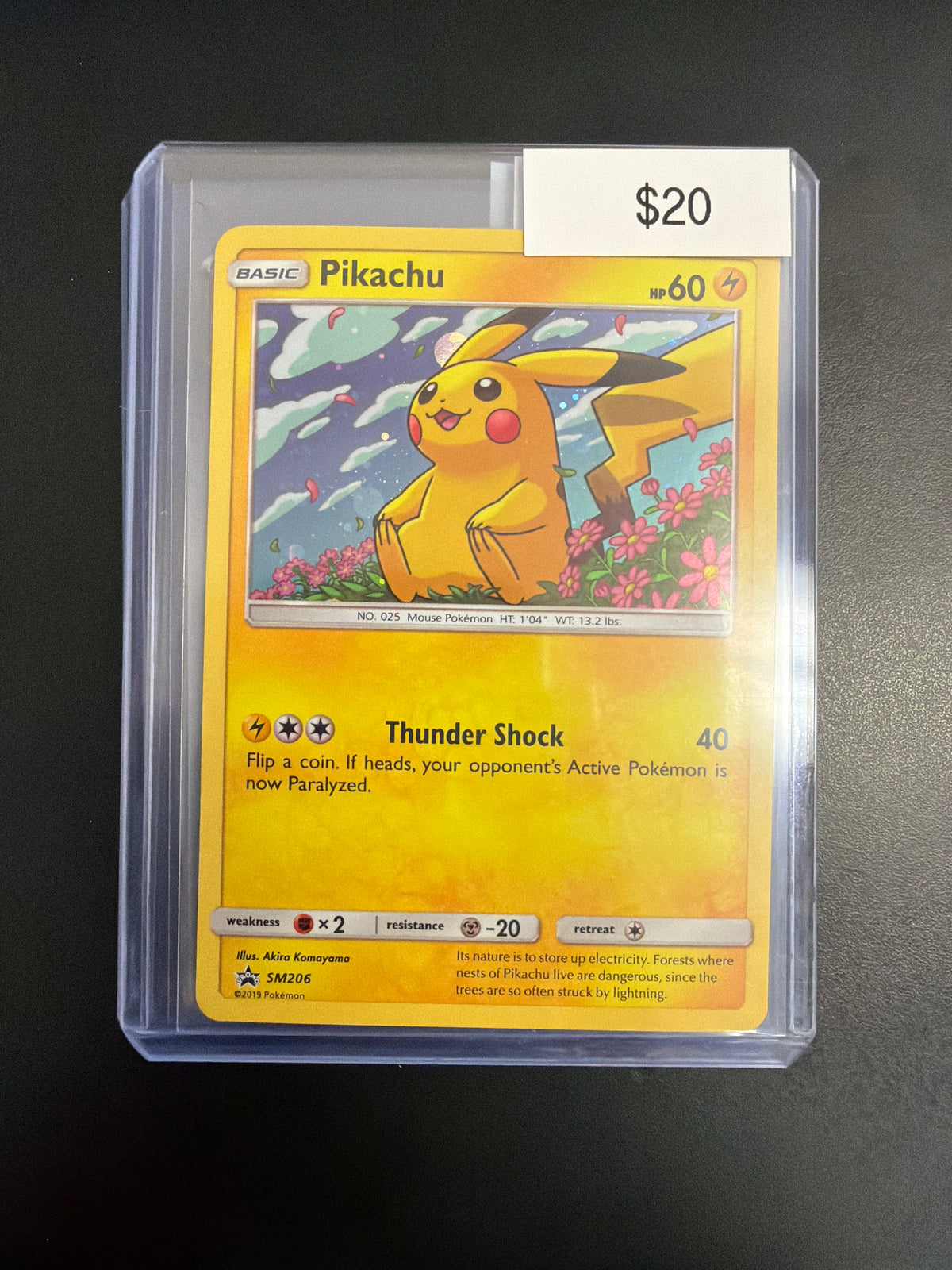 Pokemon Pikachu SM206 Promo