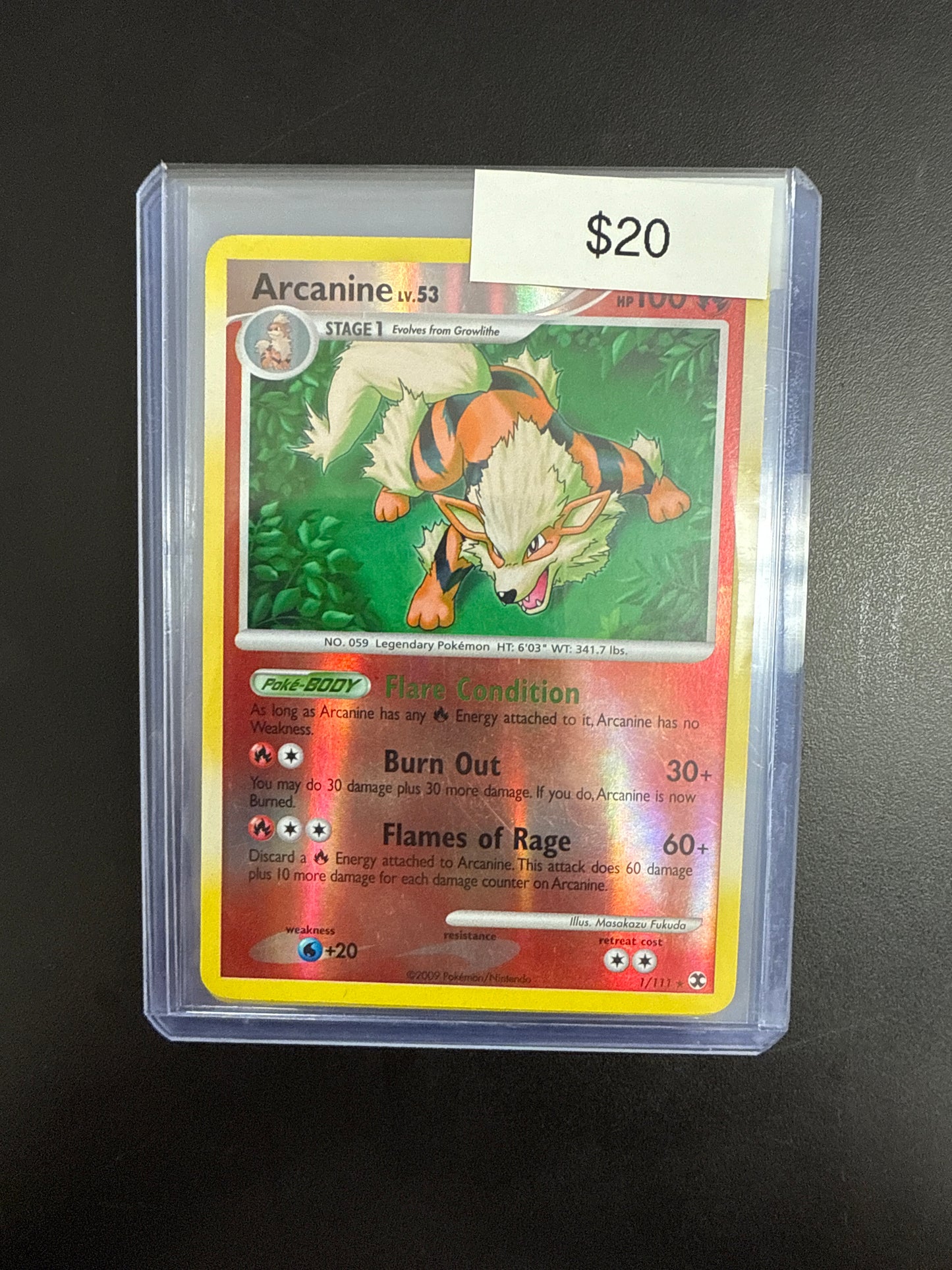 Pokémon Arcanine 1/111