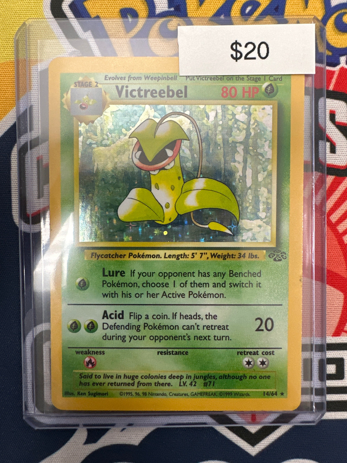 Pokémon Victreebel Jungle Holo 14/64