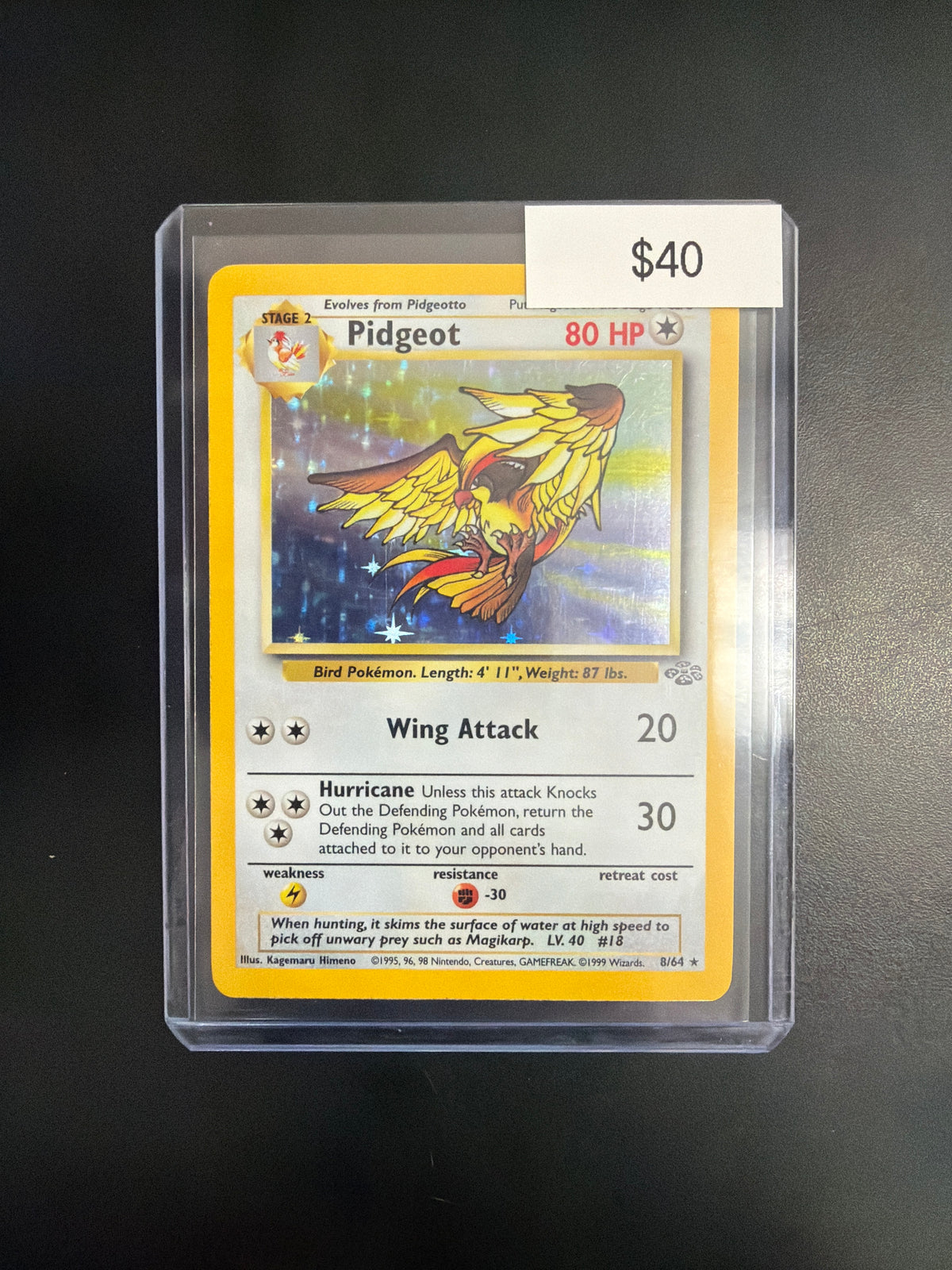 Pokemon Pidgeot Jungle #8/64 NM