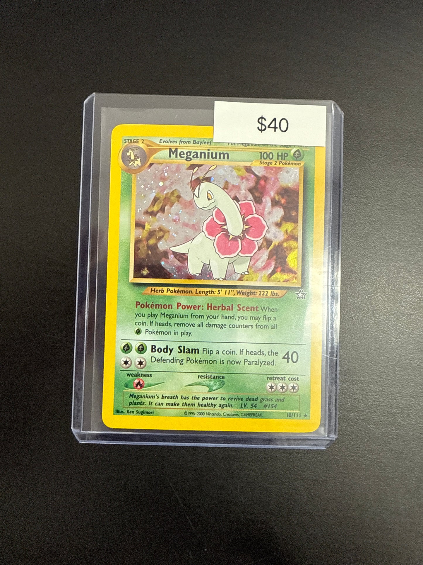 Pokemon Meganium 10/111