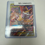 Pokemon Charizard & Braizen #sm230 DM