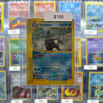 Pokémon Expedition FERALIGATR Holo 12/165