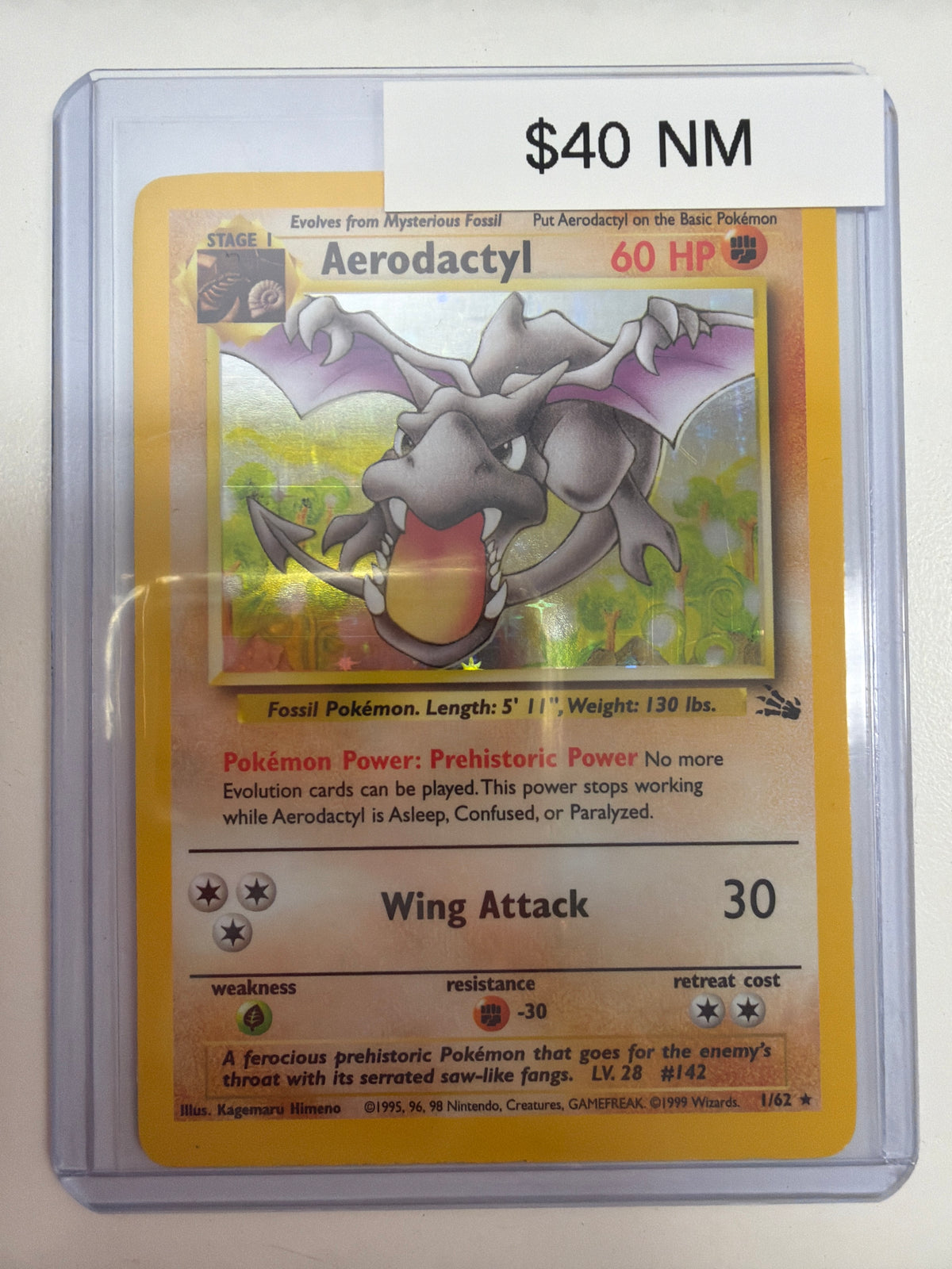 Pokemon Aerodactyl Fossil 1/62