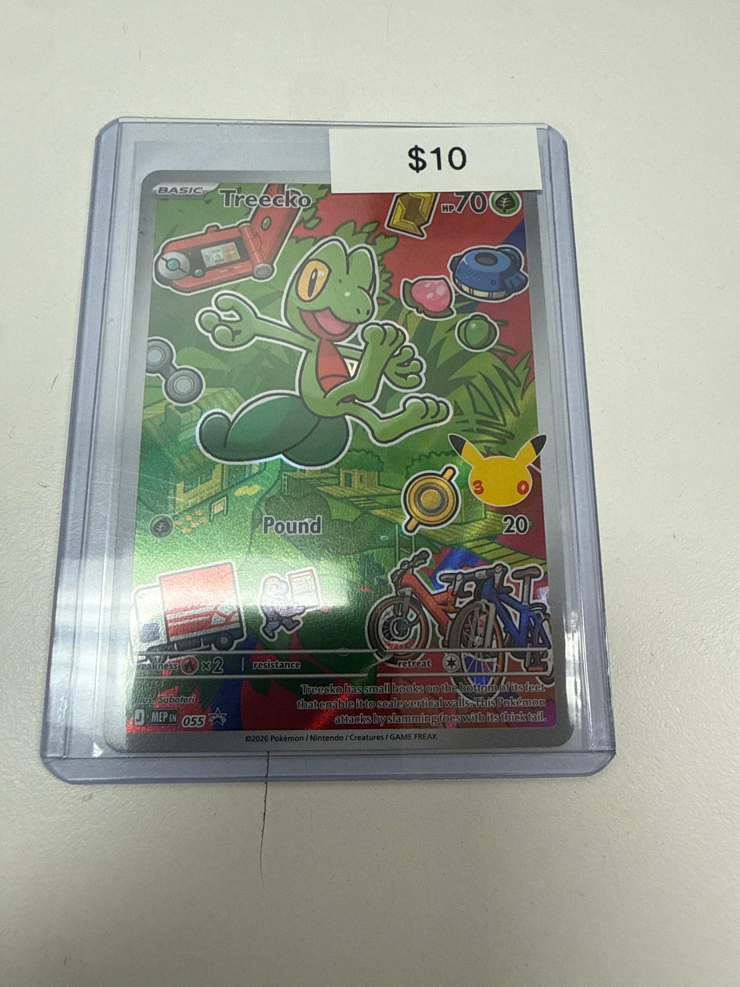 Pokemon Treecko #055