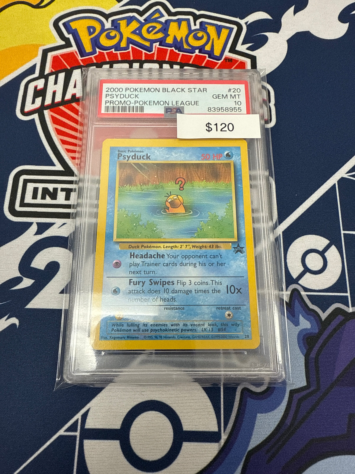 Pokemon Black Star Promo Psyduck #20 PSA 10