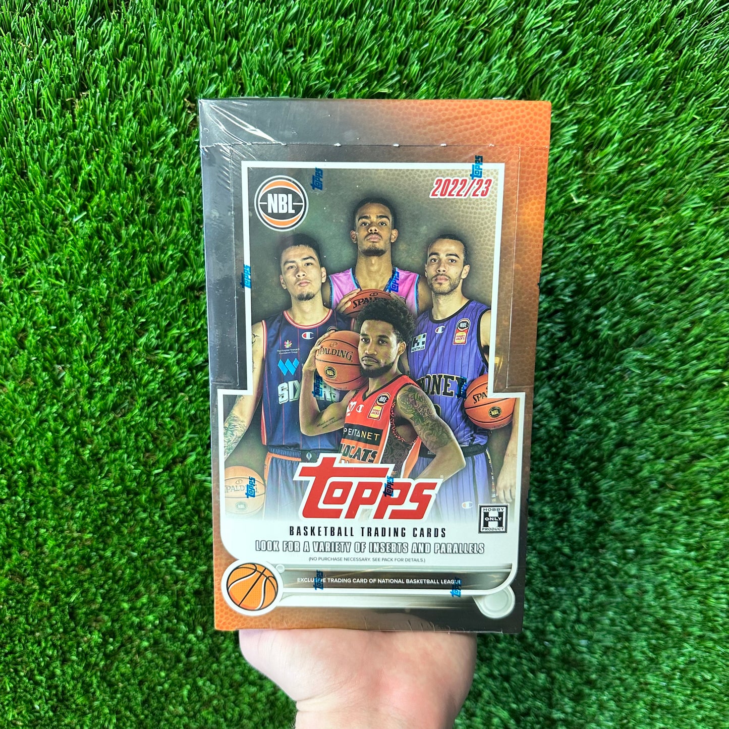 Topps NBL Basketball Hobby Box
