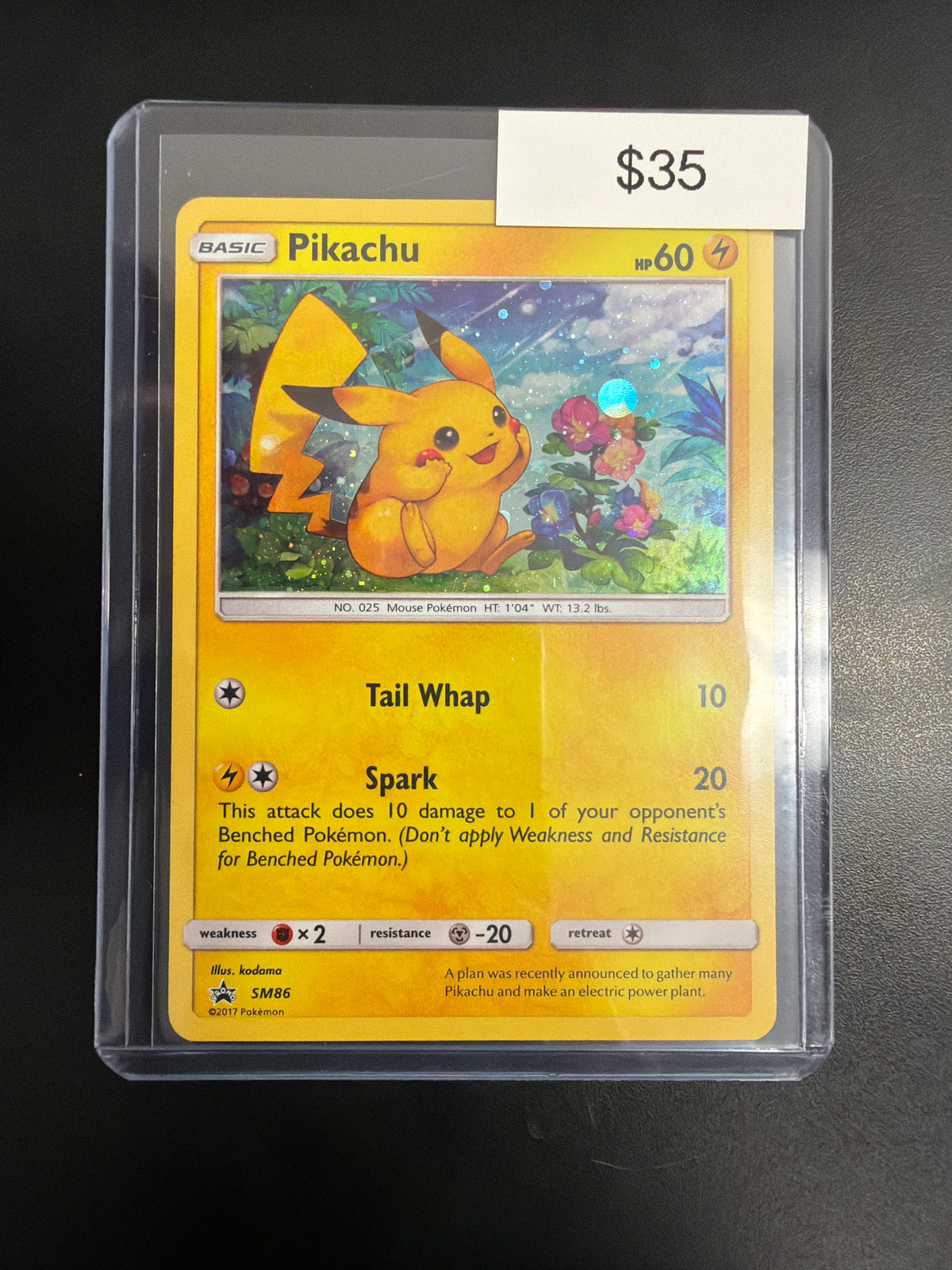 Pokemon Pikachu #SM86