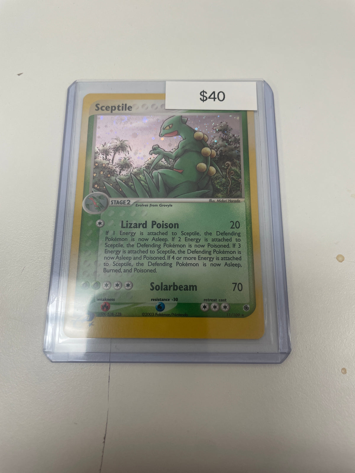 Pokemom Sceptile Holo #11/109