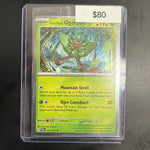Pokemon Teal Mask Ogerpon EB Games Promo 024/167