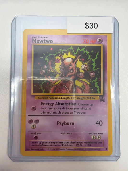 Pokemon Mewtwo 14