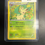Pokemon Leafeon #BW87