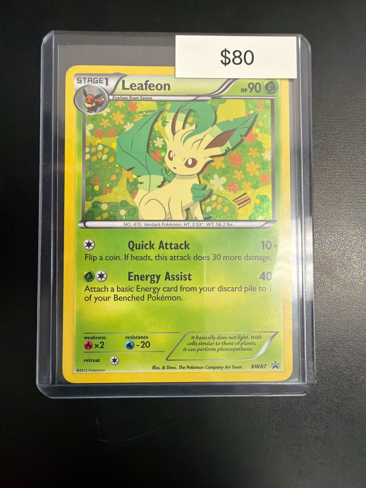 Pokemon Leafeon #BW87