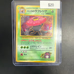 Pokemon Japanese Gym #045