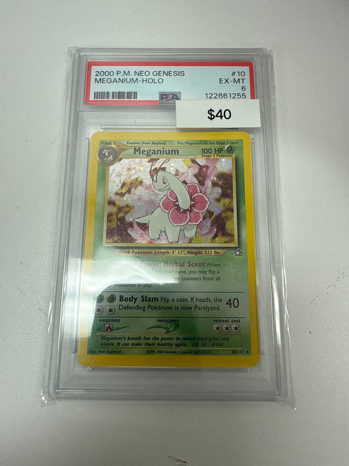 Pokemom Meganium Holo #10/111 PSA 6