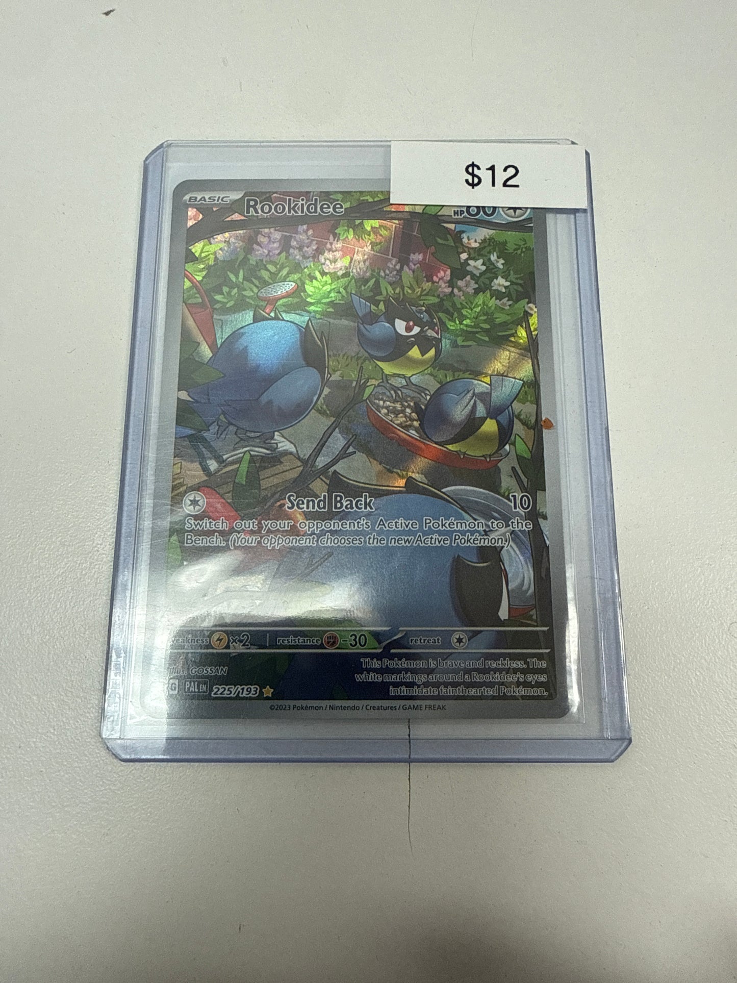 Pokemon Rookidee #225/193