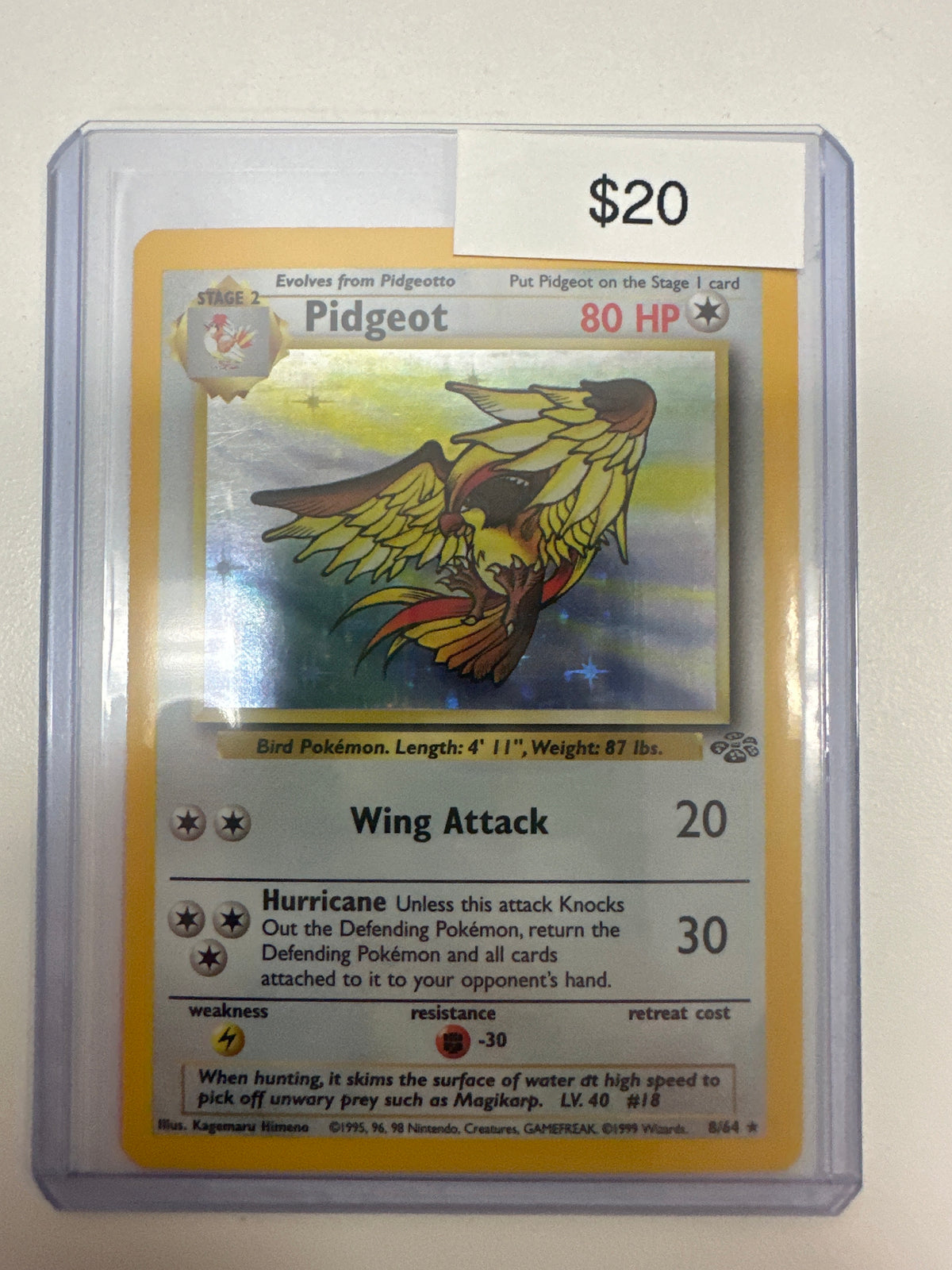 Pokemon Pidgeot Holo 8/64