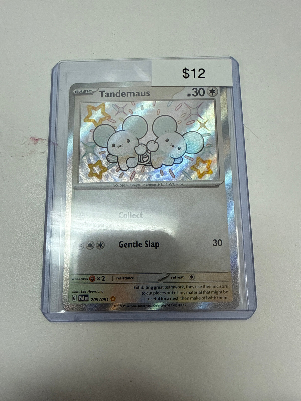 Pokemon Tandemaus Baby Shiny #209/091