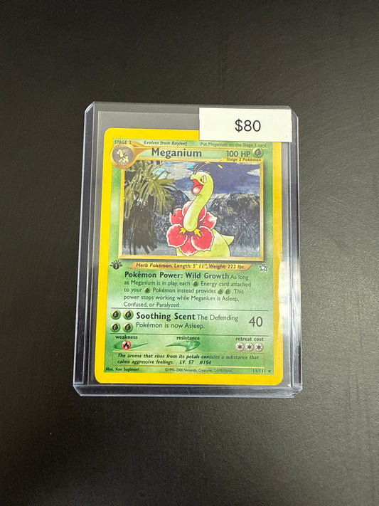 Pokémon Magenium 1st Ed. 11/111