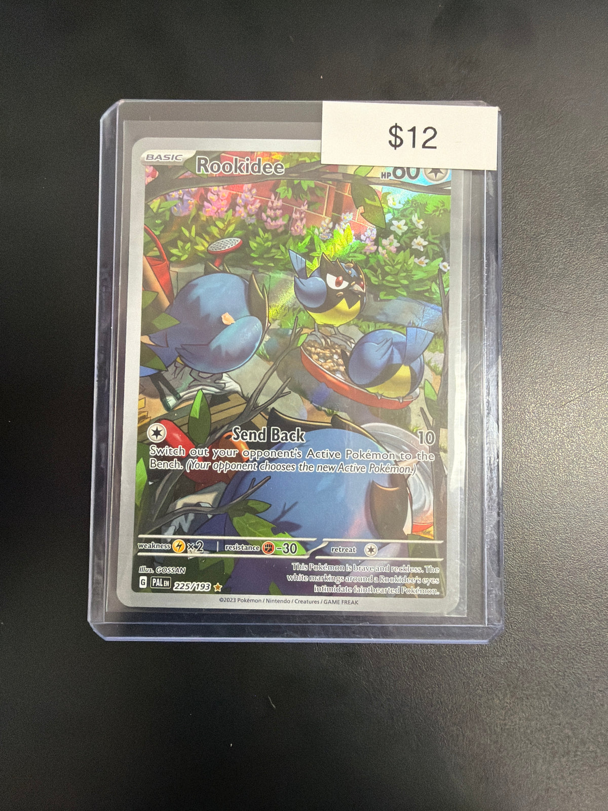 Pokemon Rookidee #224/193