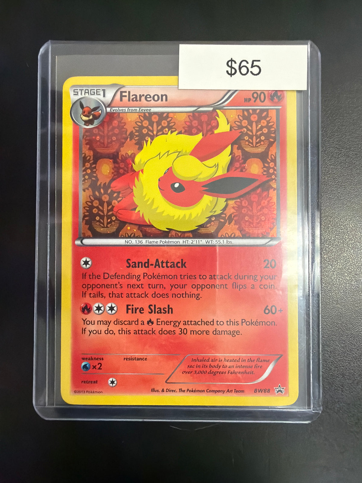 Pokemon Flareon #BW88