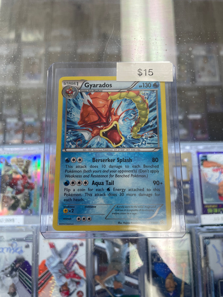 Pokemon Gyrados Xy Black Star Promo 