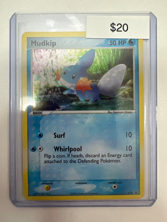 Pokemon Mudkip 018