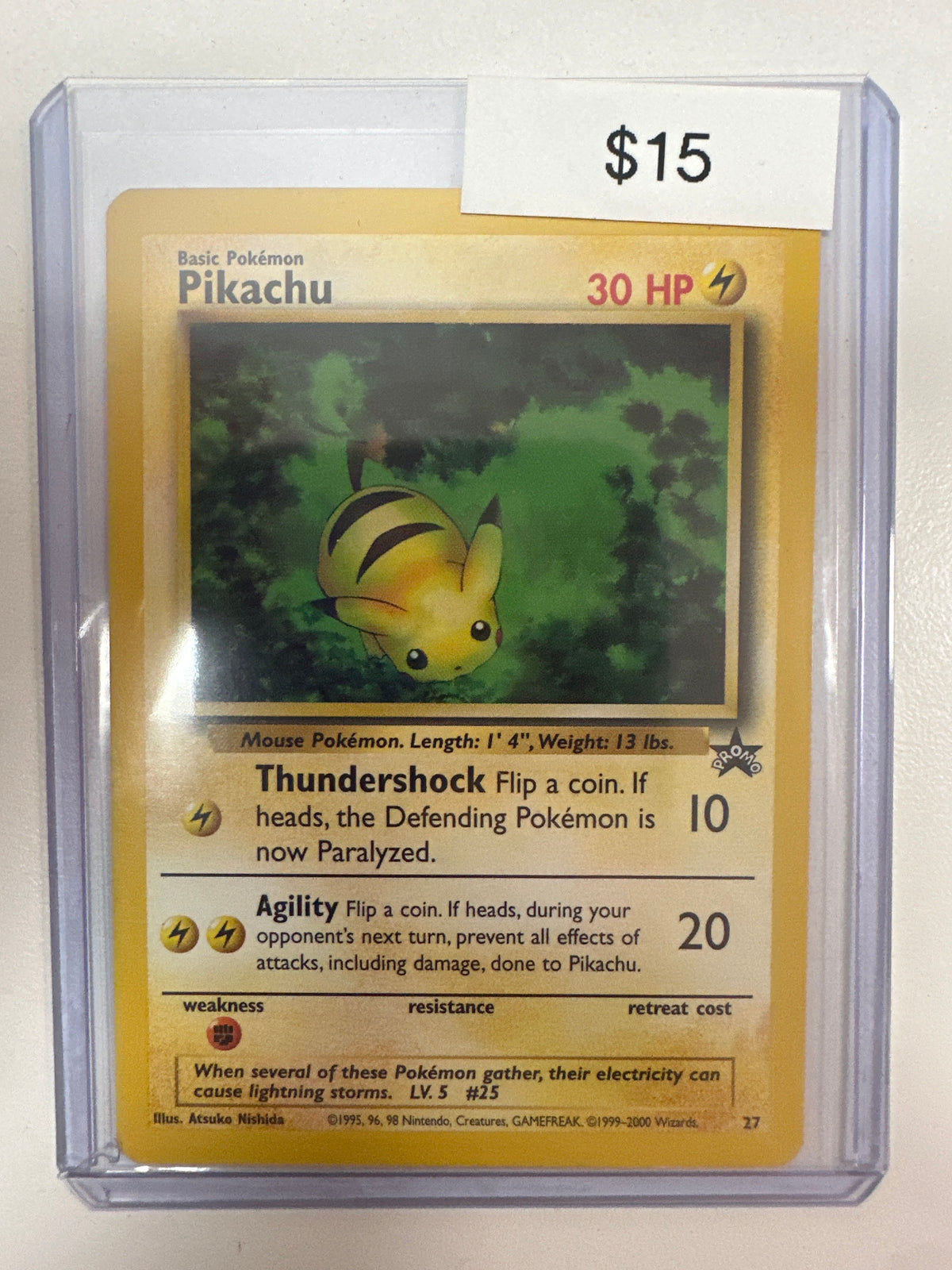 Pokemon Pikachu 27