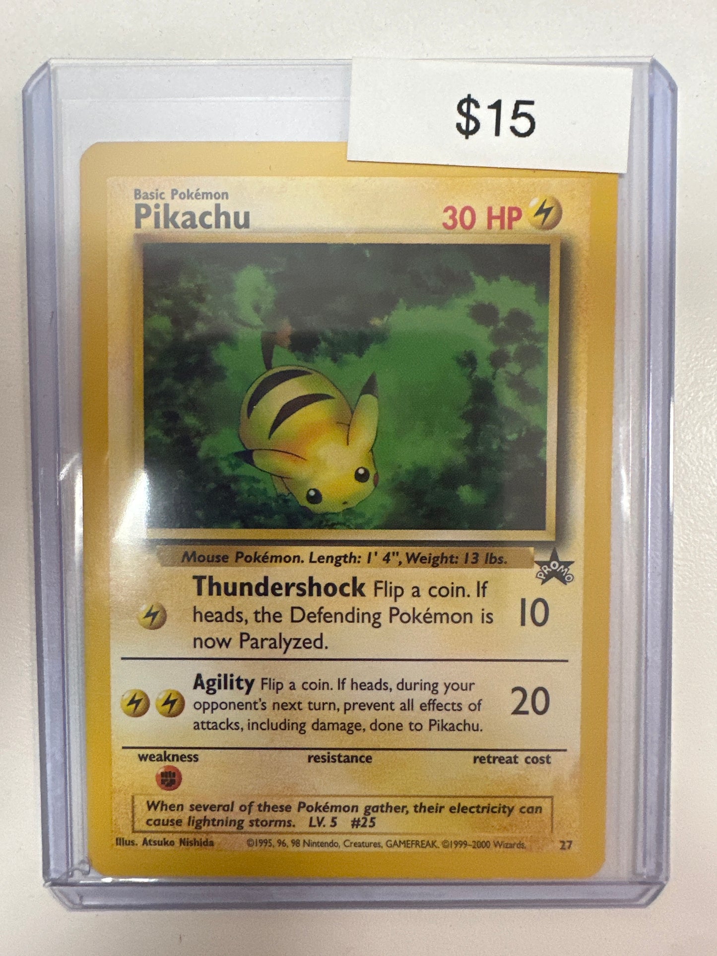 Pokemon Pikachu 27
