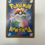 Pokemon Japanese Eevee x Sylveon Poncho 144/sm-P DM