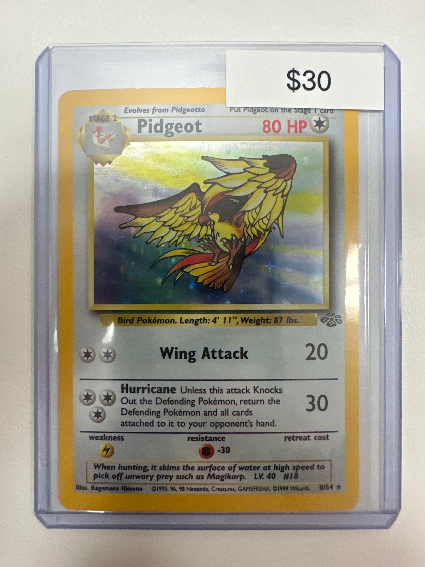 Pokemon Pidgeot Holo 8/64