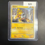 Pokemon Raikou HGSS19