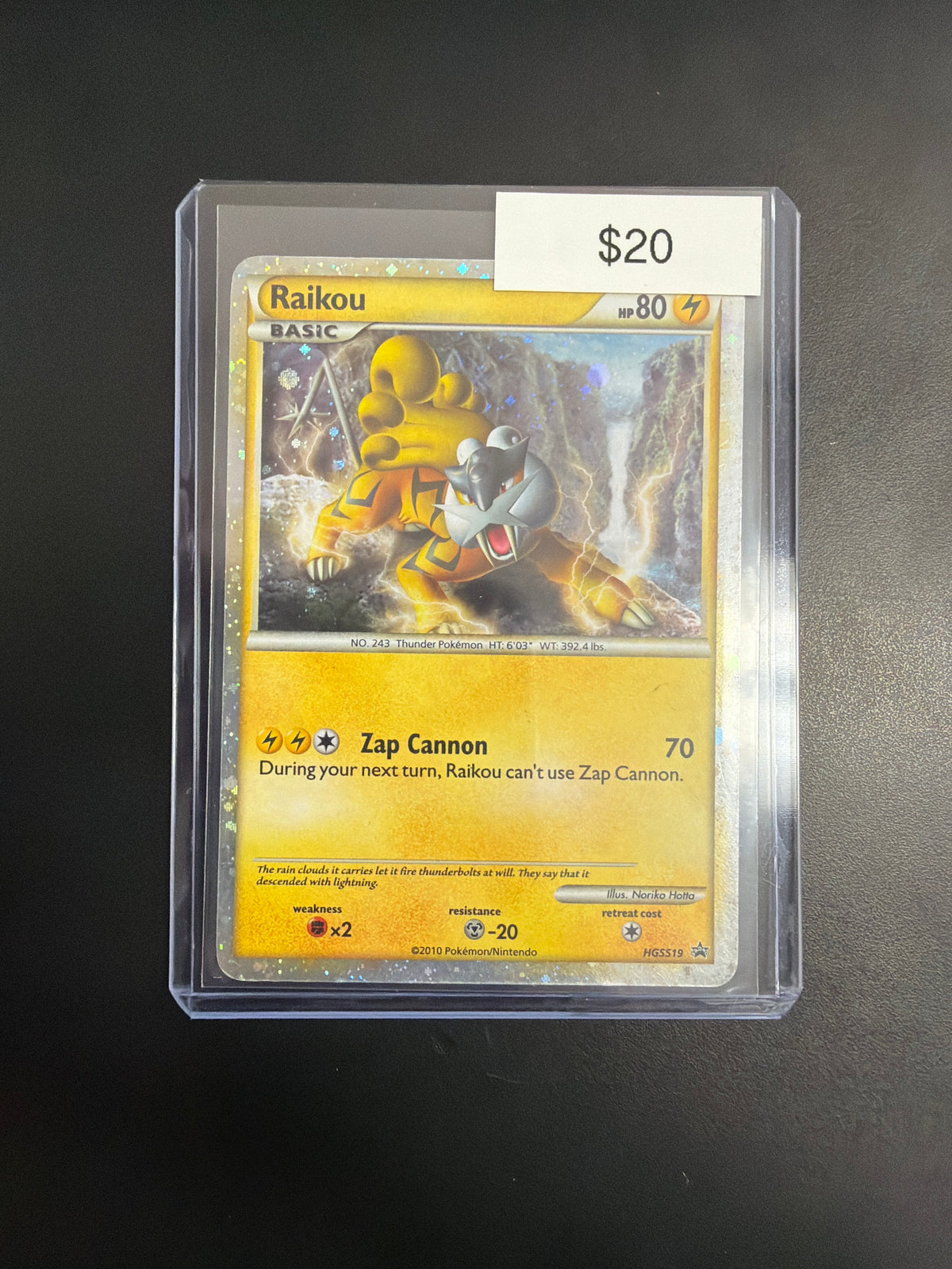 Pokemon Raikou HGSS19
