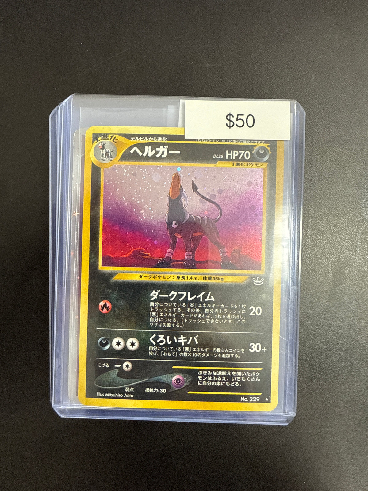 Pokémon Japanese Houndoom 229