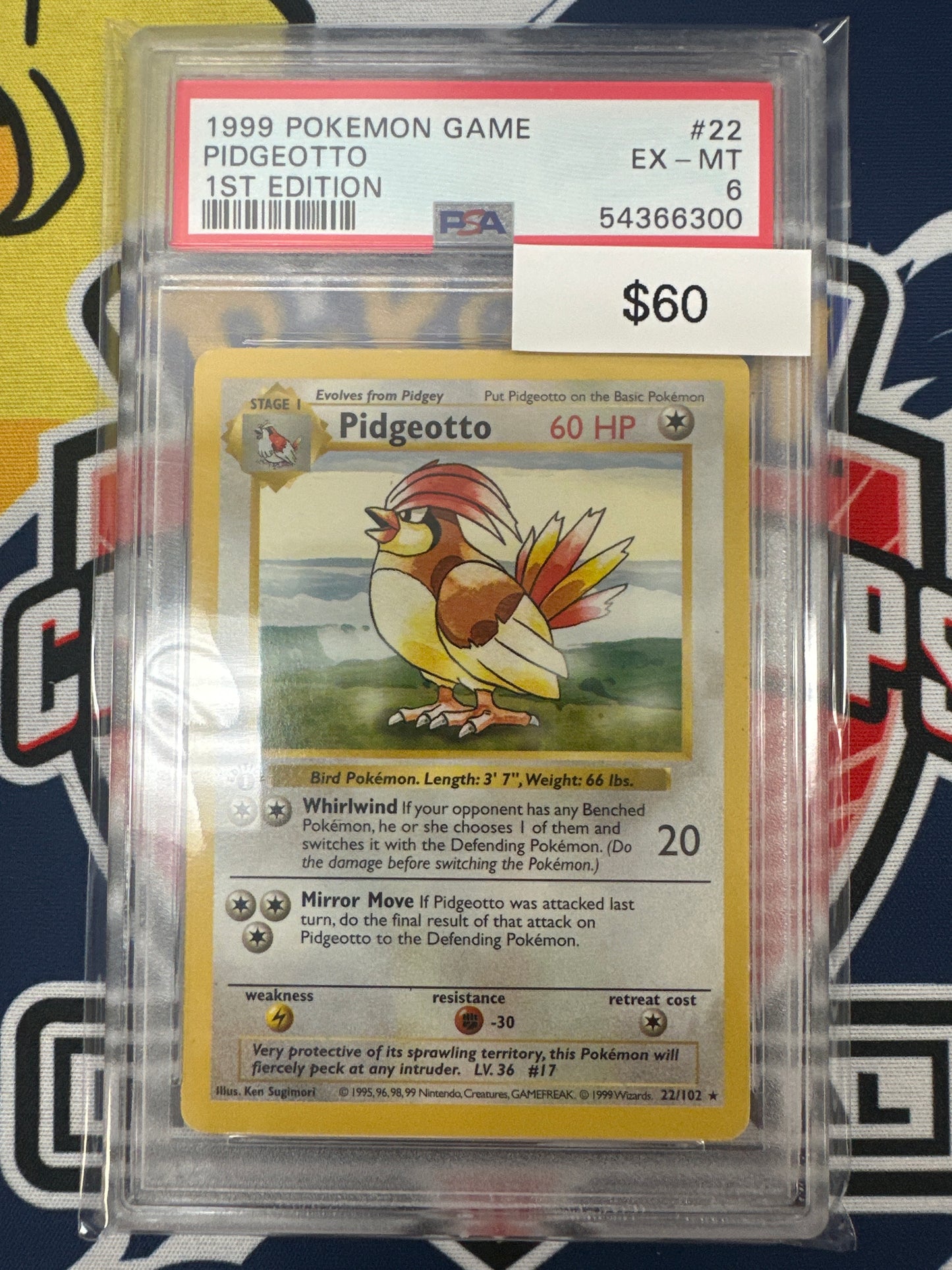 Pokemon Pidgeotto 22/102 1st Edition  PSA 6