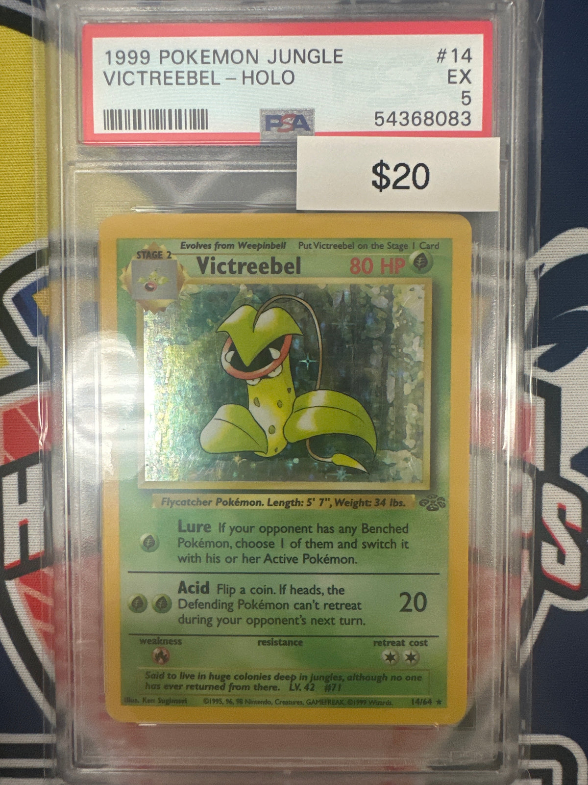 Pokemon Victreebel Holo 14/64 PSA 5