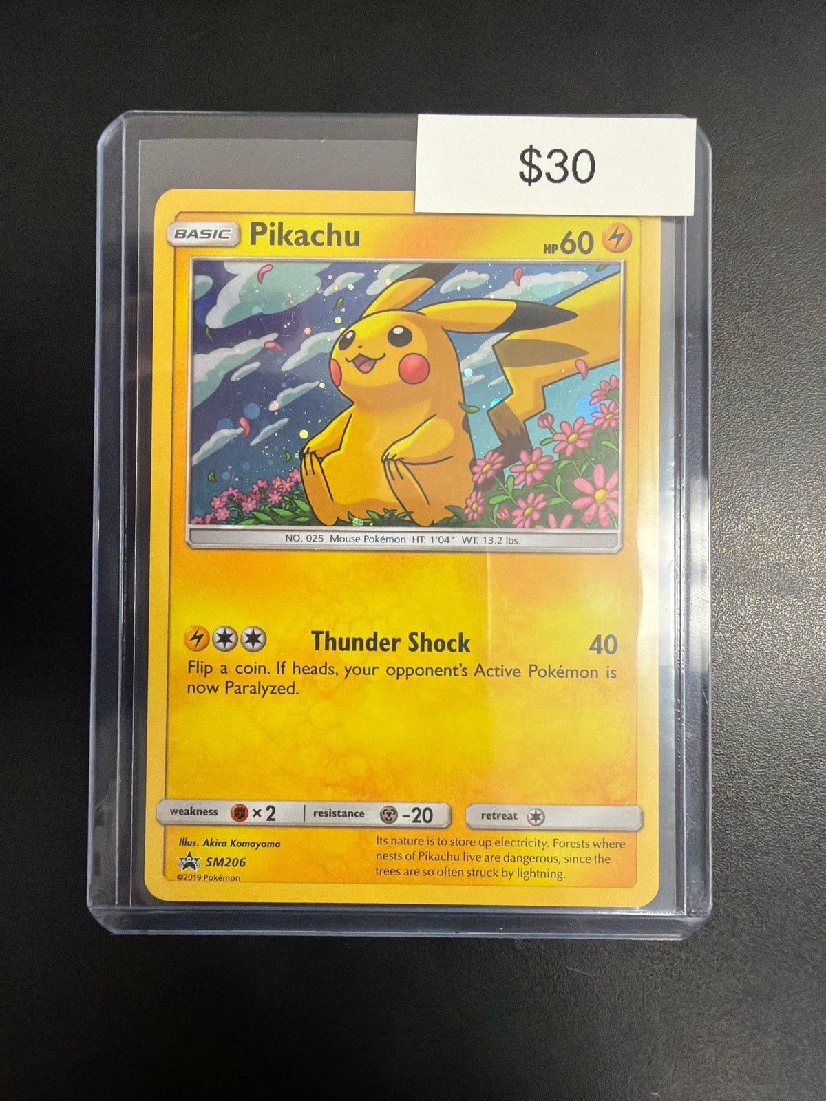 Pokemon Pikachu #SM206