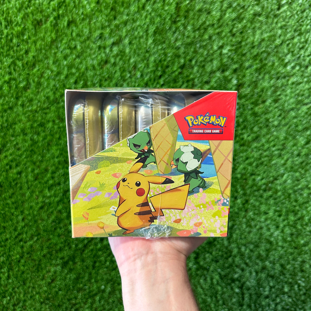 pokemon trading card game paldea friends mini tin Pokemon Paldea Friends Mini Tin Display – Grail Collectibles AZ
