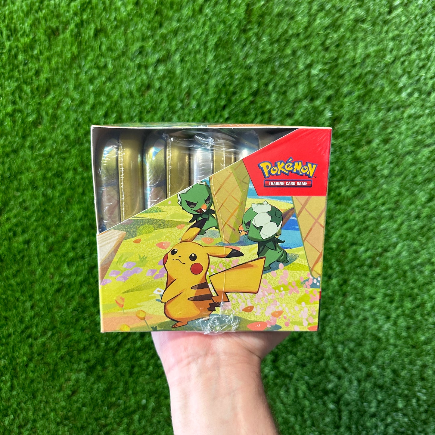 Pokemon Paldea Friends Mini Tin Display
