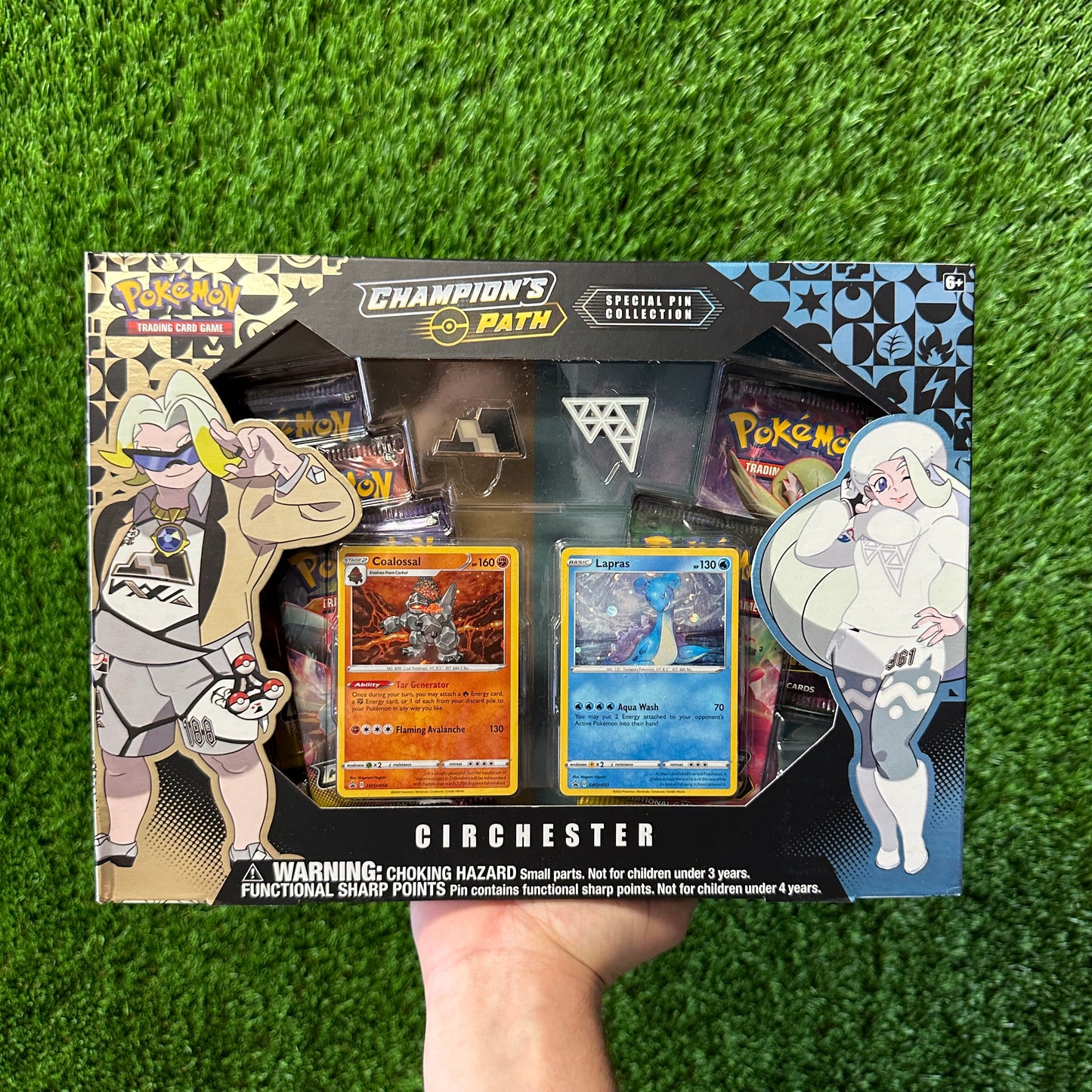 Pokemon Champion’s Path Circhester Special Pin Collection