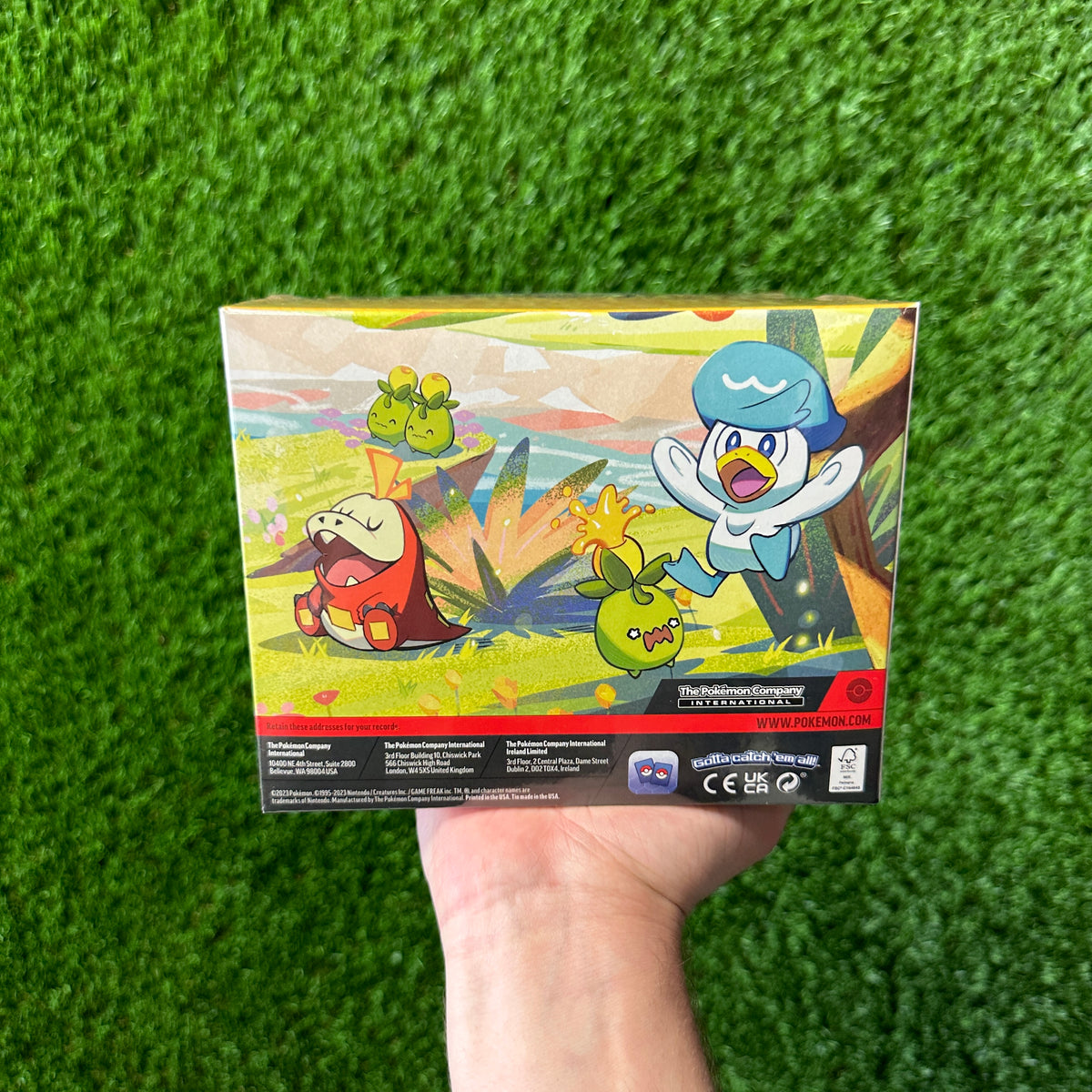 Pokemon Paldea Friends Mini Tin Display