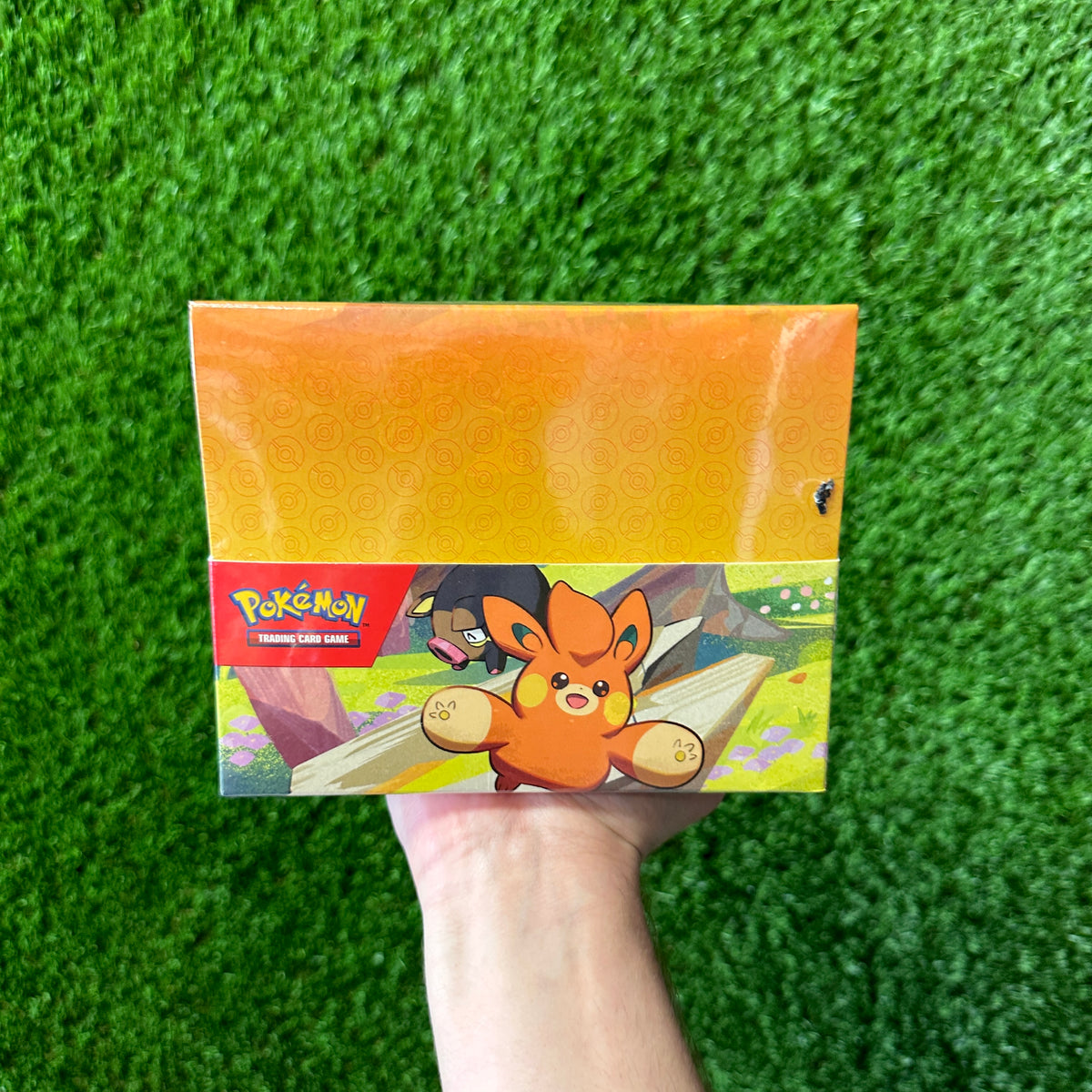 Pokemon Paldea Friends Mini Tin Display