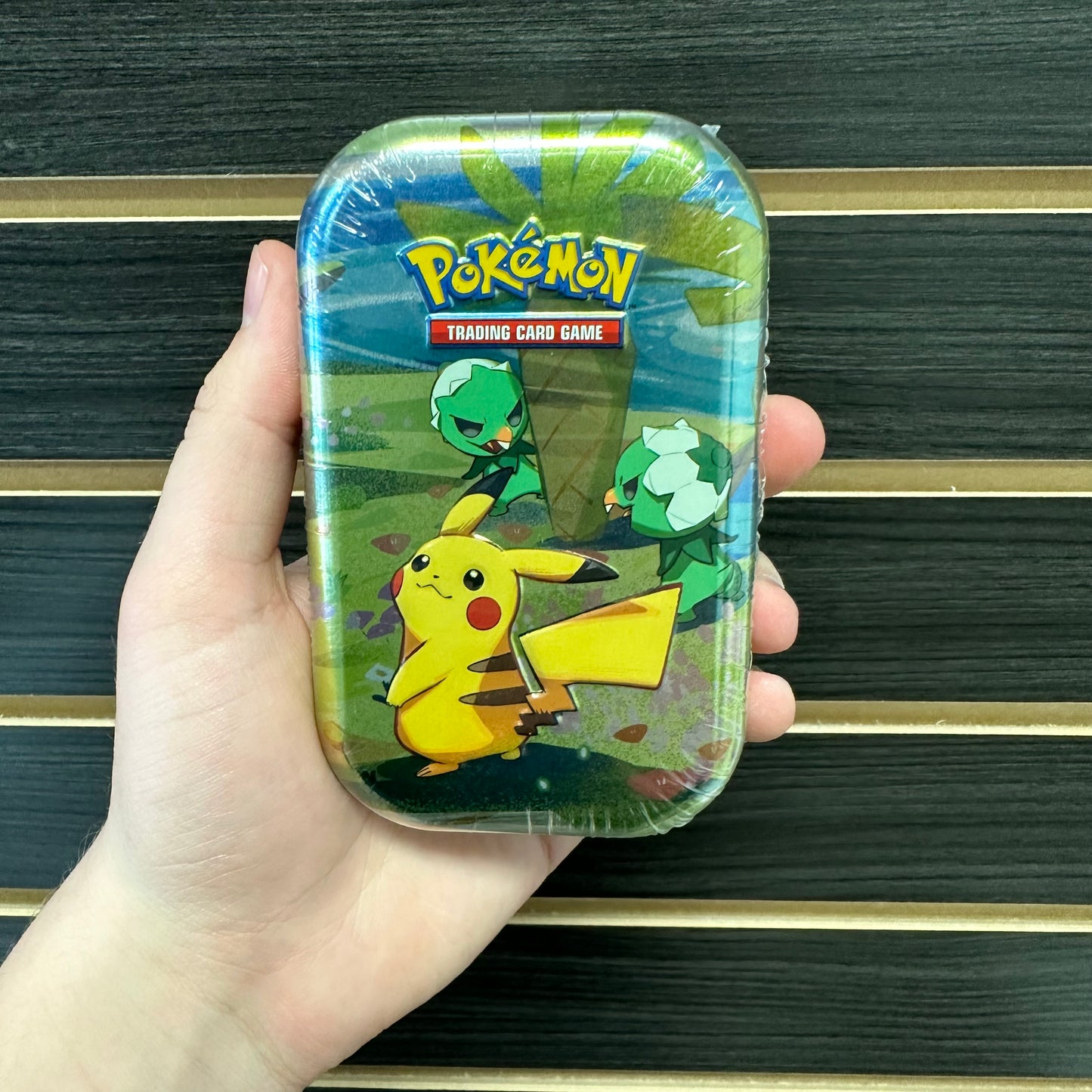 Pokemon Paldea Friends Mini Tin