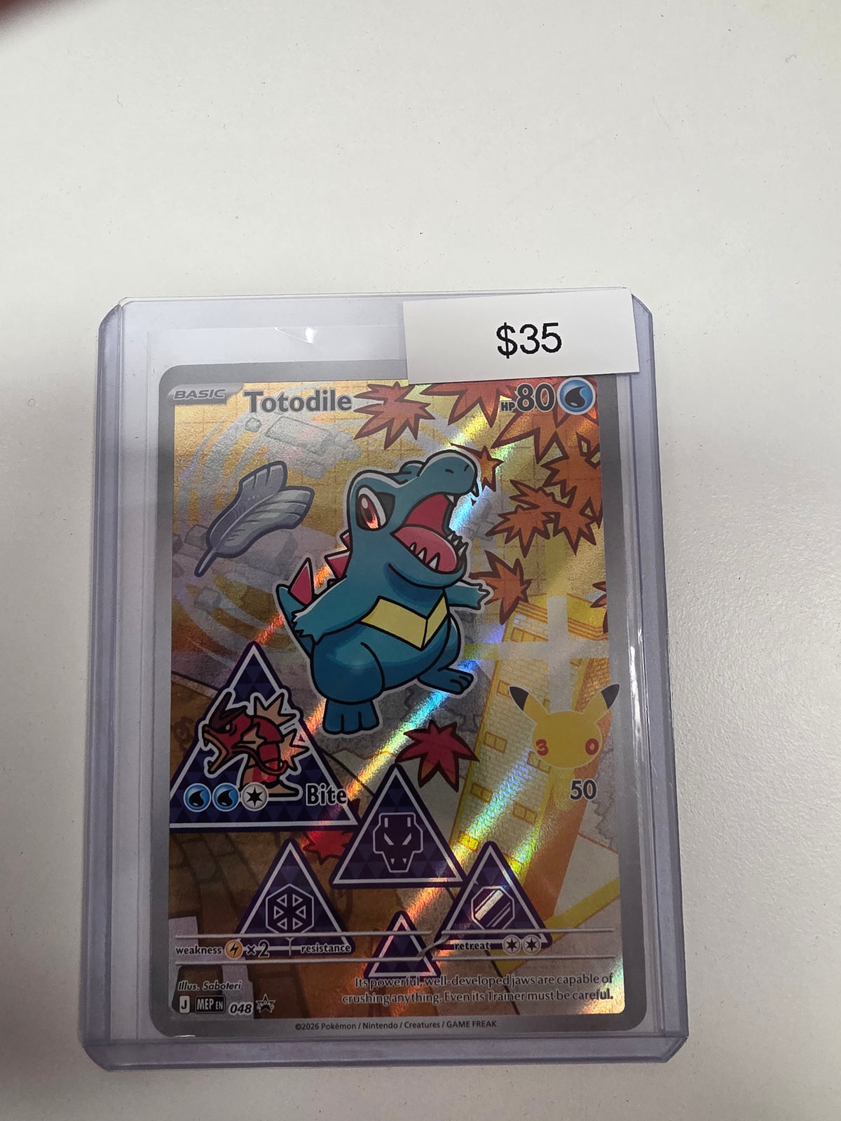 Pokemon Totodile 048